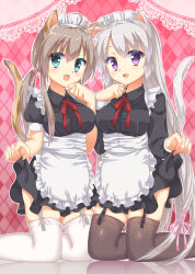 2girls :d ahoge alternate_costume animal_ear_fluff animal_ears apron aqua_eyes ayachi_nene black_dress black_thighhighs blush breasts brown_hair buttons cat_ears cat_girl cat_tail colored_eyelashes commentary_request dress enmaided eyes_visible_through_hair fang feet_out_of_frame frilled_apron frills fuyukichi_(nikoniko1567) garter_straps grey_hair hair_between_eyes hands_up highres kemonomimi_mode kneeling large_breasts long_hair long_sleeves looking_at_viewer low_ponytail maid maid_apron maid_headdress multiple_girls neck_ribbon open_mouth outline paw_pose pink_background ponytail puffy_short_sleeves puffy_sleeves purple_eyes red_ribbon reflective_floor ribbon sanoba_witch shiiba_tsumugi short_dress short_sleeves sidelocks simple_background skin_fang skirt_hold smile straight_hair tail tail_raised thighhighs very_long_hair waist_apron white_apron white_outline white_thighhighs zettai_ryouiki