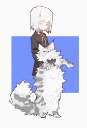 1girl ^_^ animal animalization black_bow black_bowtie black_dress black_jacket blue_background blue_gemstone bow bowtie cat closed_eyes collared_dress commentary cross daito_academy_school_uniform die_(die0118) downturned_eyes dress expressionless full_body gem grey_eyes hair_between_eyes highres holding holding_animal holding_cat izumi_kanagi jacket layered_sleeves long_sleeves looking_at_another magia_record:_mahou_shoujo_madoka_magica_gaiden mahou_shoujo_madoka_magica neck_ribbon red_ribbon ribbon school_uniform short_dress short_hair short_over_long_sleeves short_sleeves standing two-tone_background white_background white_hair yakumo_mitama