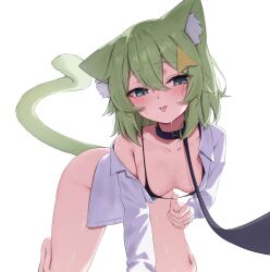 1girl :p all_fours animal_collar animal_ear_fluff animal_ears bare_legs bikini black_bikini black_collar blush breasts cat_ears cat_girl cat_tail collar collared_shirt commentary_request commission double-parted_bangs green_eyes green_tail grey_hair hair_between_eyes hair_ornament highres leash long_sleeves looking_at_viewer medium_breasts medium_hair nenight off_shoulder open_clothes open_shirt original shirt skeb_commission smile solo sweat swimsuit tail tongue tongue_out viewer_holding_leash white_background white_shirt
