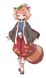 1girl alphes_(style) animal_ears black_kimono black_sandals blue_shirt commentary_request dairi full_body japanese_clothes jitome kimono large_variant_set leaf leaf_on_head long_sleeves looking_at_viewer okobo open_clothes open_kimono orange_eyes orange_hair parody parted_lips platform_sandals raccoon_ears raccoon_girl raccoon_tail red_shorts sandals shirt short_hair shorts smile socks solo standing style_parody tabi tachi-e tail tanuki_mob_(touhou) thick_eyebrows touhou transparent_background variant_set white_socks wide_sleeves