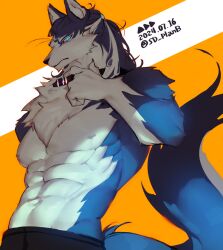 1boy animal_collar bara blue_eyes blue_fur body_fur collar collar_tug commentary dog_boy furry furry_male glowing glowing_eyes long_hair looking_at_viewer male_focus muscular muscular_male neck_fur nipples orange_background original sd_planb solo tail topless_male upper_body white_fur