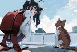 1girl ahoge animal backpack bag black_hair black_sandals blue_sky blush brown_eyes cat cloud commentary_request day hand_up headgear highres japanese_clothes kimono lamb_(hitsujiniku) long_sleeves outdoors parted_lips pleated_skirt purple_skirt randoseru sandals skirt sky socks solo squatting touhoku_kiritan twintails voiceroid white_kimono white_socks wide_sleeves zouri