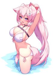 1girl absurdres animal_ear_fluff animal_ears antenna_hair arm_behind_head arm_up armpits ass bare_arms belt bikini black_belt black_choker blush bow breasts chest_belt choker cleavage deaver fang front-tie_bikini_top front-tie_top hair_bow hakui_koyori halterneck heart heart_choker heart_print hexagon_hair_ornament highres holding_own_tail hololive large_breasts long_hair looking_at_viewer open_mouth pink_bikini pink_hair pink_tail pink_trim ponytail purple_eyes red_bow side-tie_bikini_bottom sideboob simple_background smile solo string_bikini swimsuit tail thighs virtual_youtuber wading white_background wolf_ears wolf_girl wolf_tail