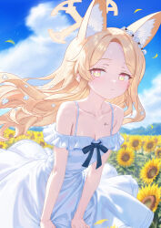 1girl absurdres alternate_costume animal_ears backlighting bare_shoulders blonde_hair blue_archive blue_sky blush breasts bright_pupils cleavage closed_mouth cloud collarbone commentary cowboy_shot cross_halo day dress dress_tug expressionless extra_ears falling_petals field floating_clothes floating_hair flower flower_field forehead fox_ears fox_girl halo highres leaning_forward loli long_hair looking_at_viewer multicolored_eyes off-shoulder_dress off_shoulder outdoors parted_bangs petals pink_eyes rin_(rin0214tw) seia_(blue_archive) signature sky small_breasts solo spaghetti_strap sundress sunflower sunflower_field two-tone_eyes white_dress white_pupils wind yellow_eyes yellow_halo