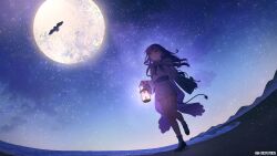 1girl =_hair_ornament absurdres alternate_costume bird black_shoes bobby_socks buttons cape choker commentary_request copyright_notice demon_girl demon_tail fisheye frilled_choker frills full_body full_moon green_eyes hair_ornament hairclip high-waist_shorts highres holding holding_lantern hololive hood hooded_jacket huge_moon jacket lantern long_hair looking_up moon mumei_(song)_(hololive) night night_sky official_art outdoors owl parted_lips pointy_ears purple_hair shoes short_sleeves shorts sky socks solo star_(sky) starry_sky tail thigh_strap tokoyami_towa travel_3san virtual_youtuber white_choker white_jacket white_shorts white_socks wide_sleeves