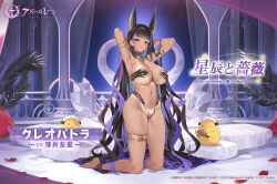1girl :o animal_ears armlet armpits arms_up azur_lane barefoot bed bikini black_bikini black_hair breasts character_name choker cleopatra_(azur_lane) column copyright_name copyright_notice dark-skinned_female dark_skin gold_armlet highleg highleg_bikini highres indoors jewelry kneeling large_breasts long_hair looking_at_viewer maid_headdress manjuu_(azur_lane) multicolored_hair navel official_alternate_costume official_art open_mouth petals pillar popqn purple_eyes purple_hair rose_petals second-party_source solo streaked_hair swimsuit tan tanline thigh_strap two-tone_hair very_long_hair