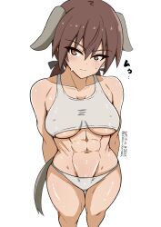 Rule 34 | 1girl, absurdres, animal ears, blush, breasts, brown eyes, brown hair, closed mouth, dog ears, dog tail, gertrud barkhorn, highres, large breasts, long hair, looking at viewer, navel, panties, simple background, solo, sports bra, strike witches, tail, twintails, underboob, underwear, unkai daraku, white background, white panties, white sports bra, world witches series
