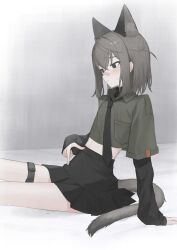 1girl absurdres animal_ear_fluff animal_ears bandaid bandaid_on_face bandaid_on_nose black_eyes black_necktie black_skirt blush cat_ears cat_girl cat_tail collared_shirt crop_top flat_chest grey_hair hai_(haihki) hair_between_eyes highres layered_sleeves long_sleeves medium_hair necktie original parted_lips shirt simple_background sitting skirt sleeves_past_wrists solo sweat tail thigh_strap