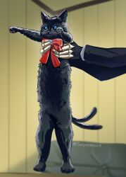 1other animal animal_focus animal_hands arknights artist_name black_cat blue_eyes bow bowtie cat cat_paws commentary english_commentary gloves highres holding holding_animal holding_cat indoors long_sleeves longcat_(meme) meme miss_christine_(arknights) multiple_tails phantom_(arknights) red_bow red_bowtie serpexnessie tail tragodia_(arknights) twitter_username two_tails