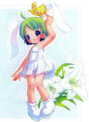 1girl :3 :o animal_ears blue_eyes cat female_focus flat_chest flower green_hair highres loli open_mouth panties pop rabbit_ears see-through_clothes short_hair solo underwear white_panties