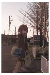 1girl 280km absurdres bag border brown_bag brown_coat brown_eyes brown_hair coat full_body grey_bag grey_skirt grocery_bag highres holding holding_bag long_coat long_skirt long_sleeves looking_at_viewer original outdoors pantyhose photo_background round_eyewear scarf shoes shopping_bag shoulder_bag skirt solo spring_onion standing tree utility_pole white_border white_scarf white_shoes