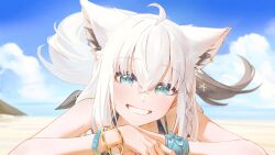 1girl absurdres ahoge animal_ears aqua_eyes beach bikini blue_eyes blue_sky bracelet braid braided_sidelock cloud crossed_bangs earrings fox_ears fox_girl fox_tail grin hair_between_eyes highres hololive hololive_summer_2023_swimsuit hyde_(tabakko) jewelry looking_at_viewer lying on_stomach sand shirakami_fubuki shore side_braid sidelocks single_earring sky smile solo swimsuit tail virtual_youtuber white_hair wristband