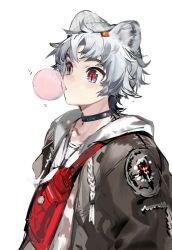 1boy animal_ears arknights bag bear_boy bear_ears bishounen blush chewing_gum choker grey_hair highres infection_monitor_(arknights) jacket male_focus qanipalaat_(arknights) red_eyes short_hair simple_background solo upper_body white_background yyb