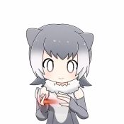 1girl animal_ears animated commentary elbow_gloves facing_viewer fingerless_gloves fur_collar gloves gradient_hair grey_gloves grey_hair kemono_friends looping_animation multicolored_hair one-piece_swimsuit simple_background small-clawed_otter_(kemono_friends) smile solo swimsuit taro_(tontaro) tossing video white_background white_hair
