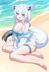 Rule 34 | 1girl, absurdres, animal ears, barefoot, beach, bikini, blue bikini, commentary request, fang, fox ears, fox girl, fox tail, highres, hololive, jacket, looking at viewer, off-shoulder jacket, off shoulder, on ground, open clothes, open jacket, sand, shirakami fubuki, sitting, skin fang, skindentation, solo, swimsuit, tail, thigh strap, verdey, virtual youtuber