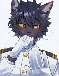 1boy aizawa_(nh_st) averting_eyes black_fur black_hair blush body_fur cat_boy coat commentary_request ear_blush flying_sweatdrops furry furry_male gloves grey_background hands_up highres looking_to_the_side male_focus military_uniform naval_uniform original short_hair solo upper_body whiskers white_coat white_gloves yellow_eyes