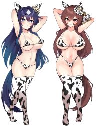 Rule 34 | 2girls, akizuki shigure, alternate costume, alternate hairstyle, animal ears, animal print, armpits, arms up, bikini, blue eyes, breasts, brown hair, cleavage, commentary request, cow print, cow print bikini, cow print thighhighs, ear ornament, gentildonna (umamusume), grin, hair down, highres, horse ears, horse girl, horse tail, long hair, multiple girls, navel, print bikini, print thighhighs, red eyes, smile, stomach, sweat, swimsuit, tail, thighhighs, transparent background, umamusume, verxina (umamusume), very long hair