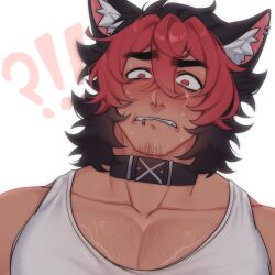 Rule 34 | !?, 1boy, animal ears, bara, biting own lip, blush, collar, commentary, delliumart, dog boy, dog ears, highres, komano manato, looking at viewer, male focus, multicolored hair, muscular, muscular male, pectorals, scar, scar across eye, scar on chest, scar on face, shirt, sleeveless, sleeveless shirt, sweat, tank top, upper body, white background, white shirt, white tank top, zenless zone zero