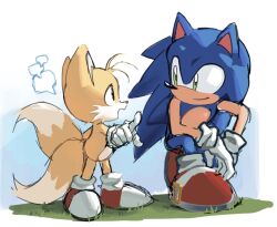 blonde_hair blue_fur blue_hair child fox gloves green_eyes hedgehog leum439 sega shoes shota size_difference smile socks sonic_(series) sonic_the_hedgehog tails_(sonic) yellow_fur