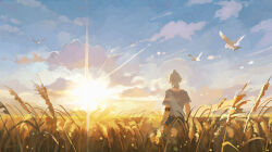 1boy absurdres antenna_hair armlet bird blue_sky cloud commentary_request from_behind grey_shirt highres honkai:_star_rail honkai_(series) jewelry male_focus maria_(maria_rose) official_alternate_costume outdoors phainon_(a_dream_scented_in_wheat)_(honkai:_star_rail) phainon_(honkai:_star_rail) shirt short_hair short_sleeves sky solo sun sunlight sunrise wheat_field white_bird white_hair