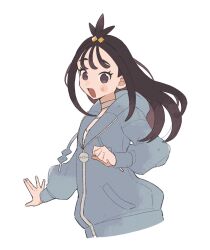1girl black_eyes black_hair blue_hoodie blush cube_hair_ornament hair_ornament happy highres hime_(himetya105) hood hood_down hoodie lida_(pokemon) long_hair long_sleeves nintendo open_mouth pokemon pokemon_legends:_z-a simple_background smile solo topknot upper_body white_background