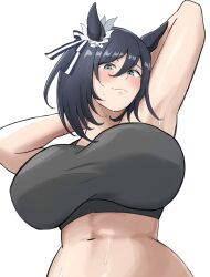 Rule 34 | 1girl, alternate costume, animal ears, armpits, arms behind head, arms up, blue eyes, blush, closed mouth, commentary request, ear ornament, eishin flash (umamusume), grey sports bra, highres, horse ears, horse girl, midriff, miya nns35, navel, short hair, simple background, smile, solo, sports bra, sweat, umamusume, white background