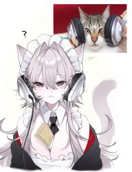 1girl ? animal_ears anoyo_(anoyode0) between_breasts breasts cat character_request cleavage closed_mouth copyright_request detached_collar headphone_cat_(meme) headphones highres large_breasts long_hair looking_at_viewer maid_headdress meme money photo-referenced polka_dot polka_dot_background reference_inset signature simple_background solo straight-on tail upper_body white_background white_hair