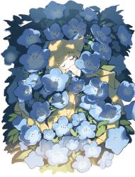 Rule 34 | blue flower, closed eyes, closed mouth, colored skin, dappled sunlight, field, flower, flower field, full body, gen 3 pokemon, highres, jirachi, legendary pokemon, moufuillust, mythical pokemon, nintendo, no humans, outdoors, pokemon, pokemon (creature), pokemon focus, shadow, sleeping, solo, sunlight, white skin