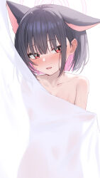 Rule 34 | 1girl, absurdres, animal ears, bare shoulders, black hair, blue archive, blush, cat ears, collarbone, colored inner hair, embarrassed, halo, highres, kazusa (blue archive), looking at viewer, multicolored hair, parted lips, pink hair, pink halo, red eyes, see-through silhouette, short hair, shower curtain, showering, sidelocks, solo, wendao, wet