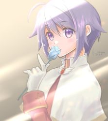 1girl acolyte_(ragnarok_online) blue_flower brown_shirt capelet closed_mouth commentary flower gloves hair_between_eyes holding holding_flower kotoharu long_sleeves looking_at_viewer purple_eyes purple_hair ragnarok_online ragnarok_origin shirt short_hair signature solo upper_body white_capelet white_gloves