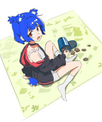animal_ear_fluff animal_ears arm_behind_back arm_support bare_shoulders bear_ears bear_girl bear_tail black_choker black_jacket blue_hair blue_tail blunt_bangs blunt_ends blunt_sidelocks bob_cut caught center-flap_bangs chashuu0 chocolate_chip_cookie choker clothing_cutout commentary cookie cookie_jar dress eating english_commentary extra_ears fang flat_chest floral_print food food_on_face food_on_floor from_above from_side furrowed_brow go!_go!_gris! gris_(go!_go!_gris!) hair_intakes half_updo highres holding holding_cookie holding_food hood hood_down hooded_jacket jacket kneehighs long_eyelashes long_sleeves looking_at_viewer looking_to_the_side looking_up multicolored_jacket nervous no_shoes off_shoulder on_floor open_clothes open_jacket open_mouth ponytail puffy_long_sleeves puffy_sleeves raised_eyebrows raised_inner_eyebrows red_eyes red_jacket red_trim rug short_dress short_hair short_ponytail short_tail sidelocks simple_background sitting sleeveless sleeveless_dress socks spill surprised tail tail_through_clothes thick_eyelashes thighs turning_head two-sided_fabric two-sided_jacket two-tone_jacket white_background white_dress white_socks wide-eyed
