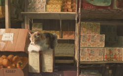 box calico_(pattern) calico_cat cardboard_box cat chinese_text closed_eyes food food_packaging fruiitlins fruit glass_bottle indoors juice_box no_humans original painterly persimmon scenery shop sleeping translation_request