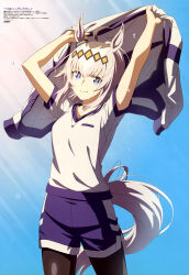 1girl absurdres ahoge animal_ears animedia arms_up black_leggings blue_eyes breasts closed_mouth collarbone copyright_name copyright_notice cowboy_shot flying_sweatdrops grey_hair gym_shirt gym_shorts gym_uniform hair_between_eyes hair_ornament highres holding holding_jacket holding_unworn_clothes horse_ears horse_girl horse_tail jacket kamome_yuu leggings light_rays looking_at_viewer magazine_scan medium_breasts multicolored_jacket official_art oguri_cap_(umamusume) pantyhose ponytail purple_jacket purple_shorts scan serious shade shirt short_sleeves shorts sidelocks simple_background smile solo standing sunbeam sunlight sweat tachi-e tail track_jacket two-tone_jacket umamusume umamusume:_cinderella_gray unworn_jacket v-shaped_eyebrows white_jacket white_shirt