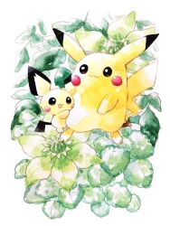 ;3 animal_focus black_eyes bright_pupils dot_nose evolutionary_line flower flower_request full_body gen_1_pokemon gen_2_pokemon green_flower highres hug leaf nintendo no_humans non_(kumakawayusu) one_eye_closed open_mouth painting_(medium) pichu pikachu pokemon pokemon_(creature) signature traditional_media watercolor_(medium) white_background white_pupils