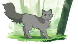 Rule 34 | animal, animal focus, cat, commentary, dovewing, fluffy, grass, green eyes, grey cat, highres, looking at viewer, minamia23, no humans, omen of the stars, outdoors, solo, tail, tree, warrior cats