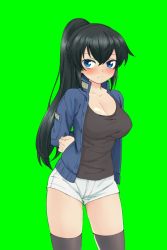 1girl arms_behind_back bad_id bad_twitter_id black_hair blue_eyes bound bound_arms breasts cleavage green_background jacket large_breasts looking_at_viewer shirt shorts socks t-shirt thighhighs zee_(zee_sub)