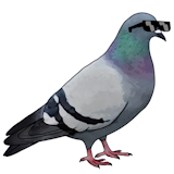 user_avatar