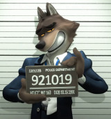 user_avatar